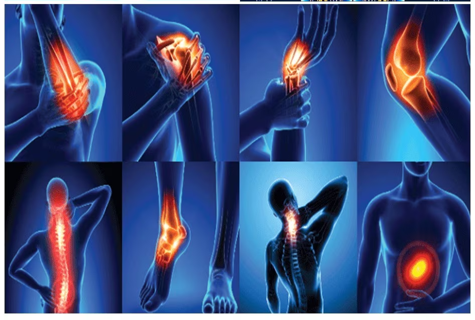 Bone, Joint & Muscle